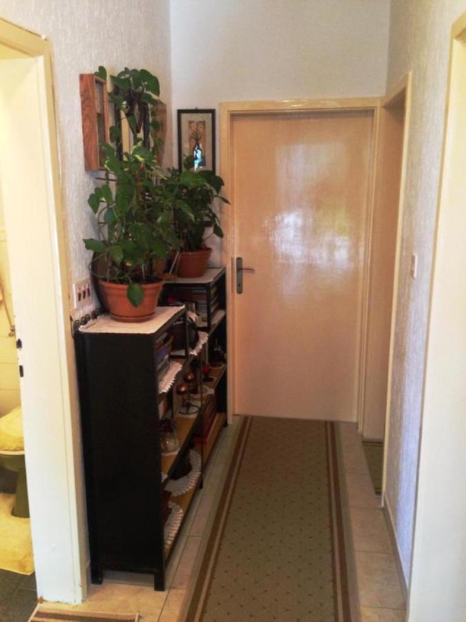 Guest House Ruza Dubrovnik Bagian luar foto
